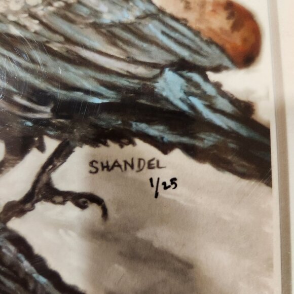 Crow, Crows Giclee Picture "Nevermore" Signed Shandel Numbered - Picture 3 of 4